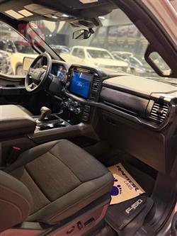 فۆرد F-150